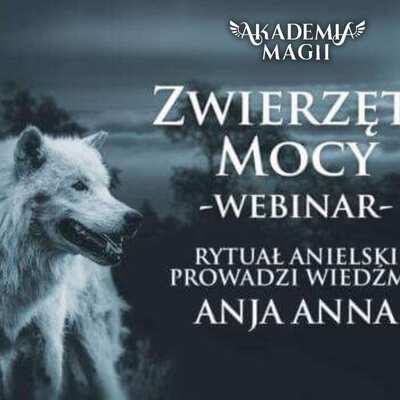 Zwierzęta  Mocy - Webinar z Rytuałem Archanielskim
